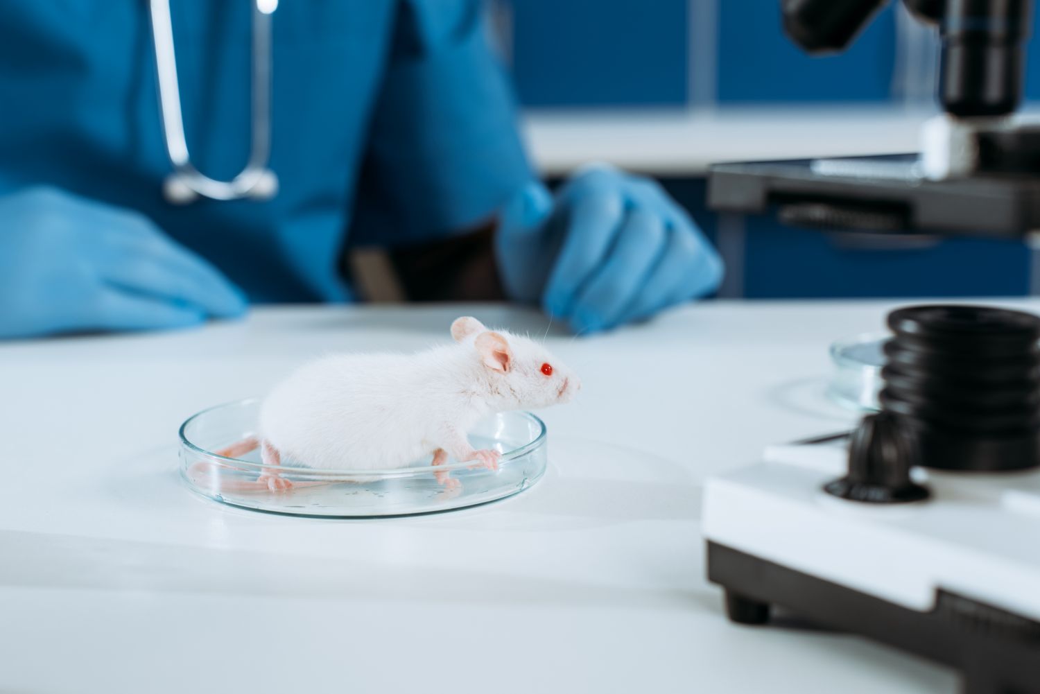 Why do scientists use mice
